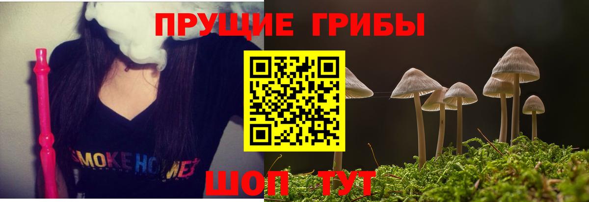 Галлюциногенные грибы мухоморы Волгодонск